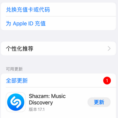 青河苹果维修分享无法在iPhone上下载或更新应用办法 