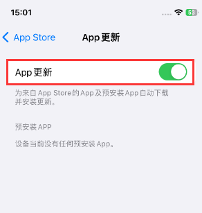 青河苹果15维修中心如何让iPhone15APP自动更新